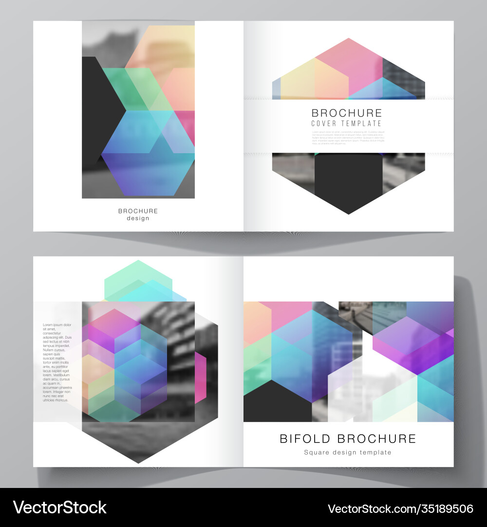 Layout two covers templates Royalty Free Vector Image