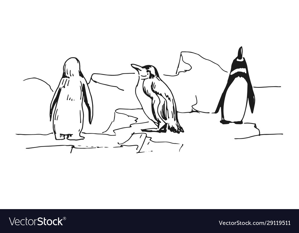 A flock realistic imperial penguins