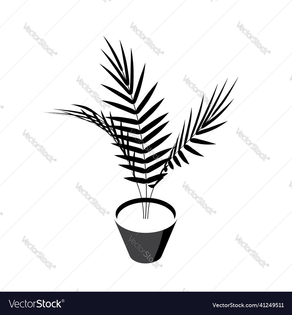 Areca palm isometric icons in flat style Vector Image Areca palm isometric icons in flat style