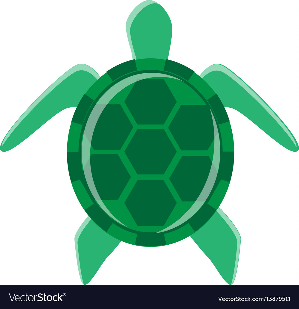 Minimal turtle