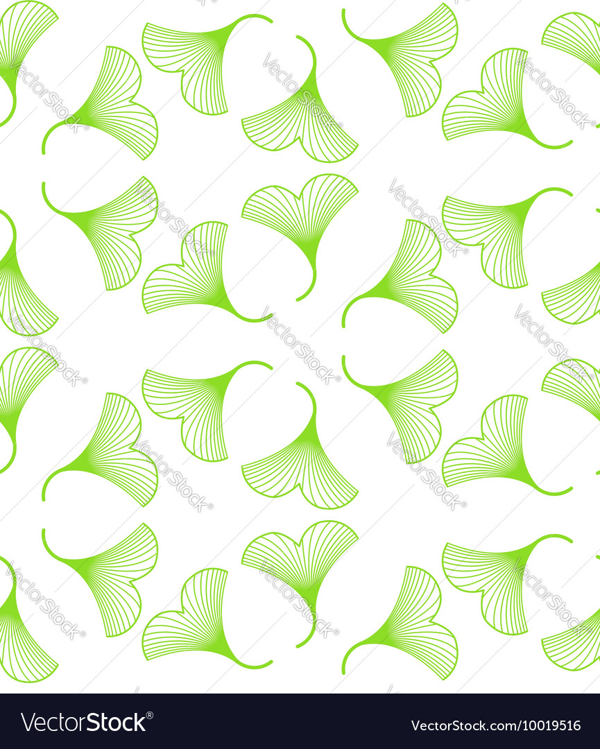 Ginkgo Biloba Leaf Pattern