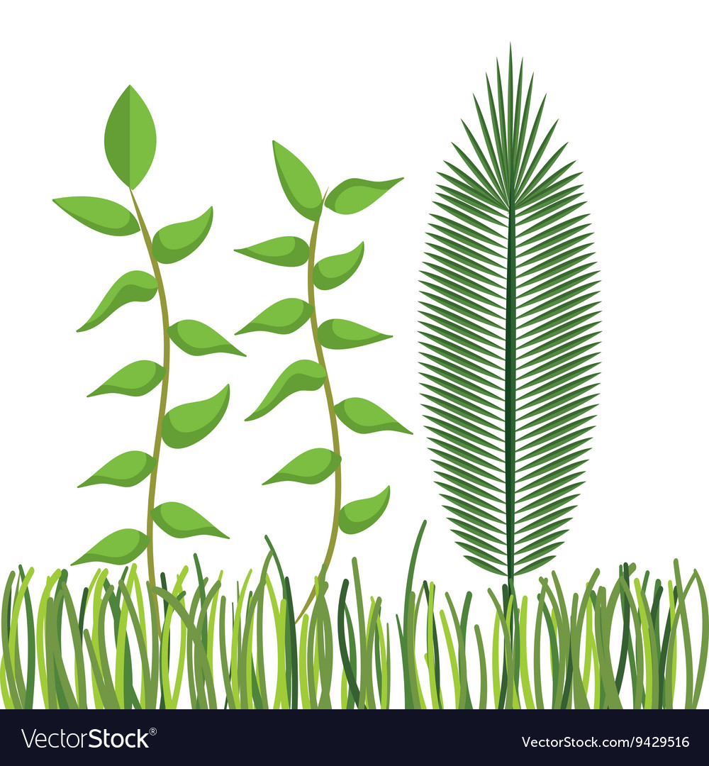 jungle leaves pattern isolated icon design vector image