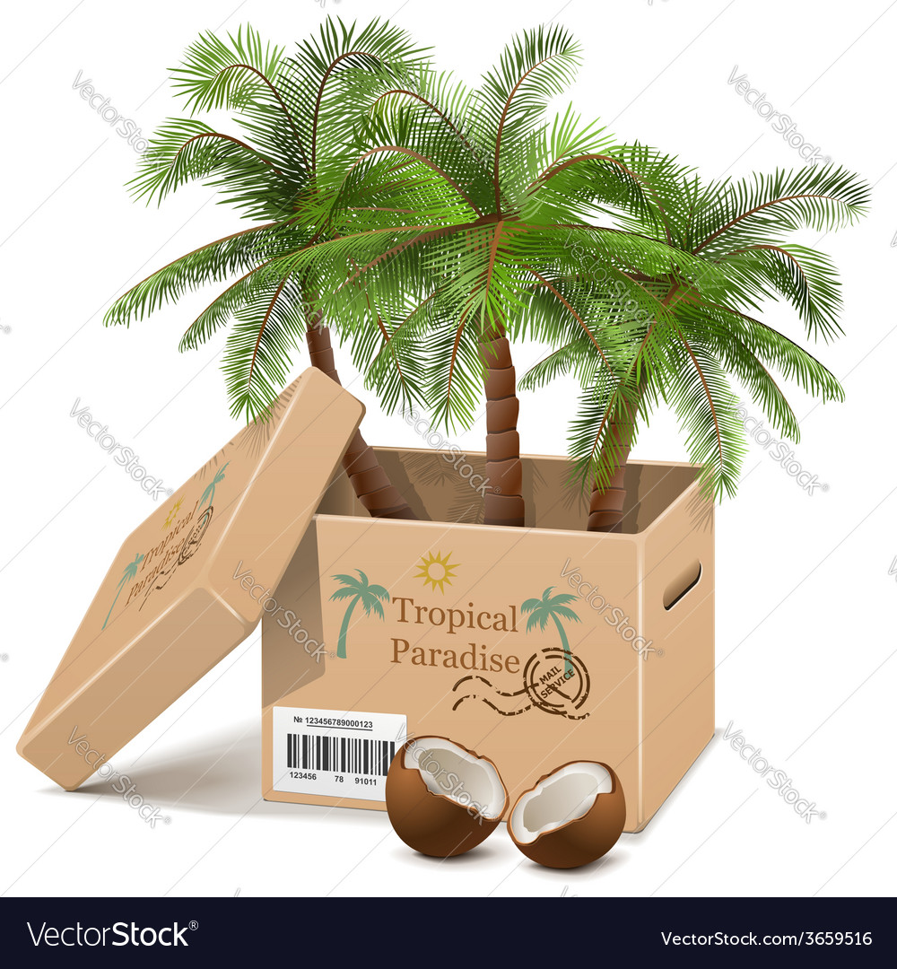 Palm tree in box Royalty Free Vector Image VectorStock