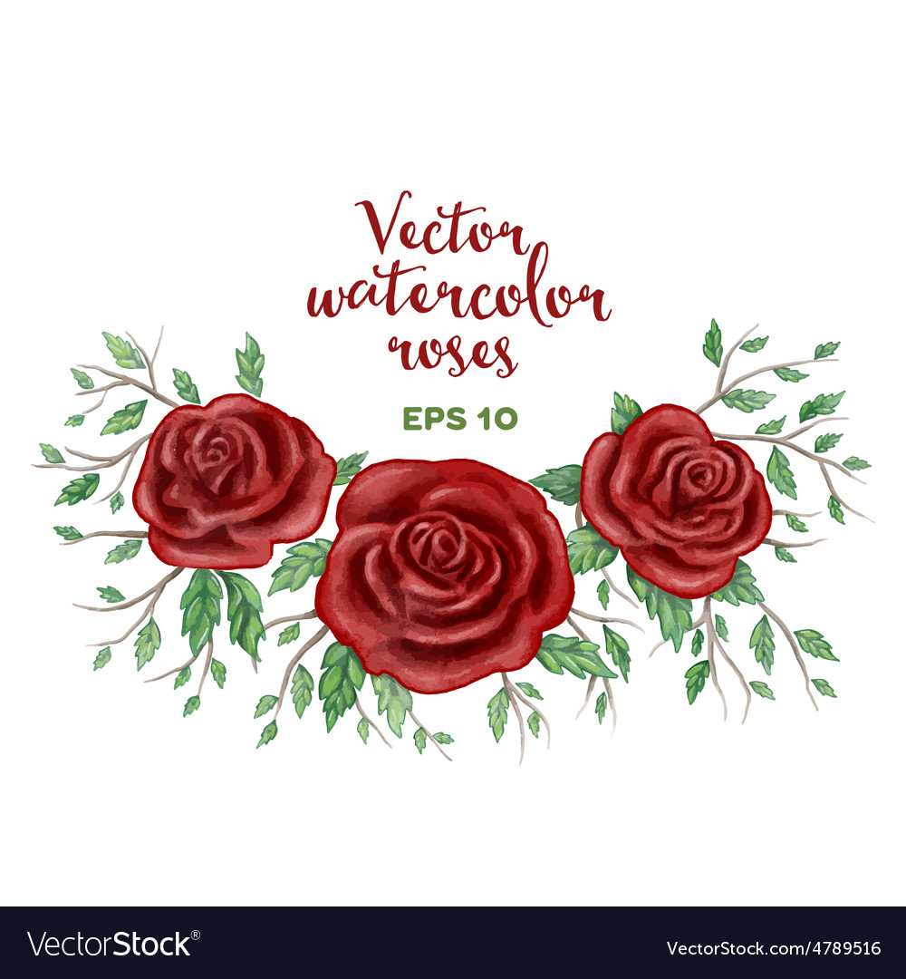 Rose frame Royalty Free Vector Image - VectorStock