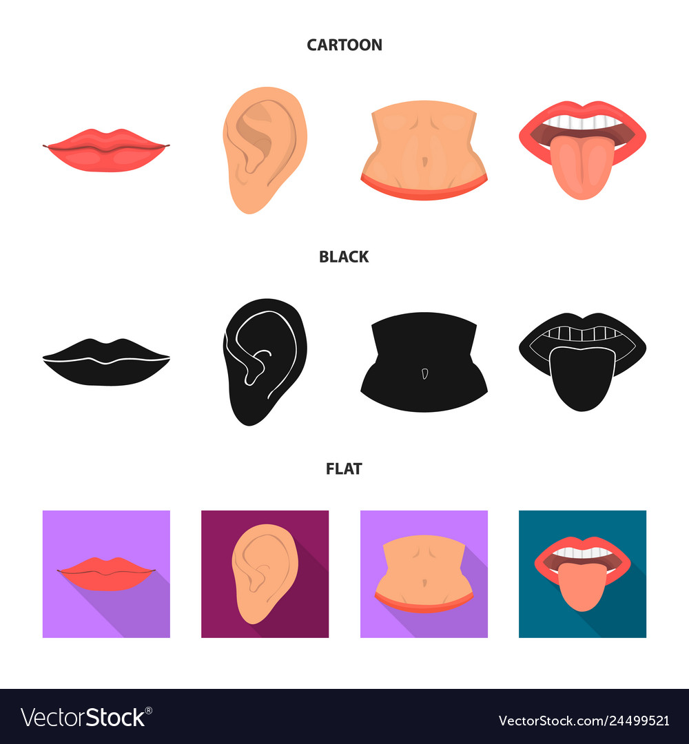 Isolated object of body and part symbol set vector image Isolated object of body and part symbol set