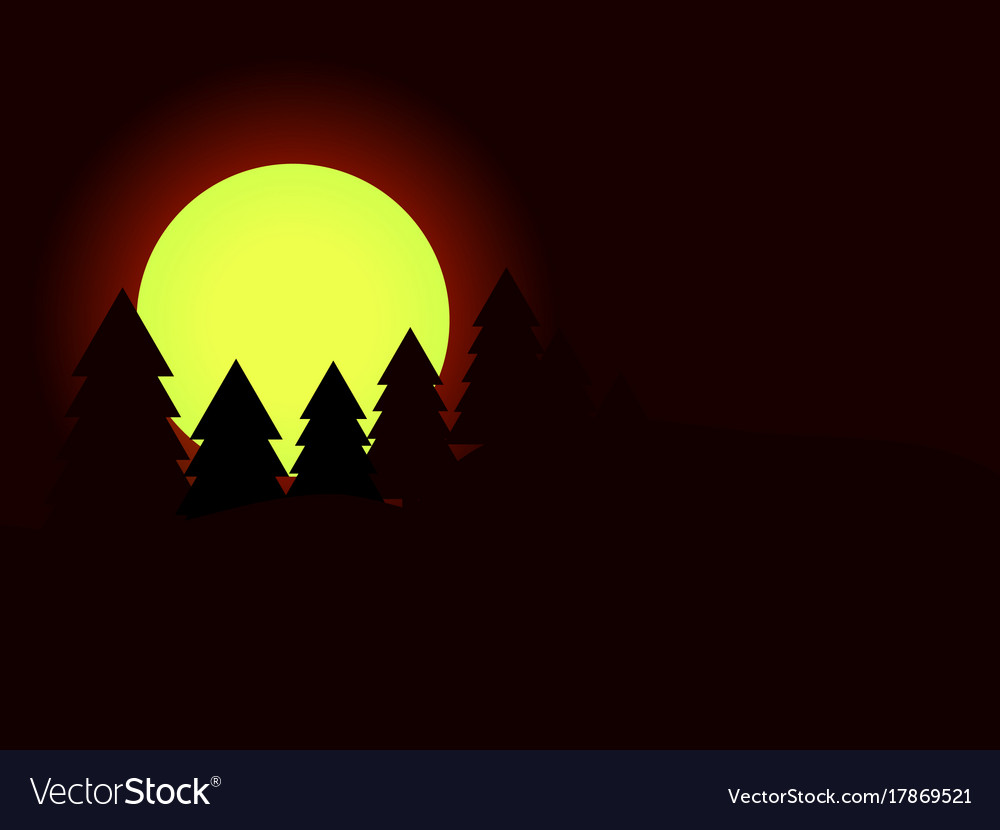 Moon in the fir trees pine forest dark night