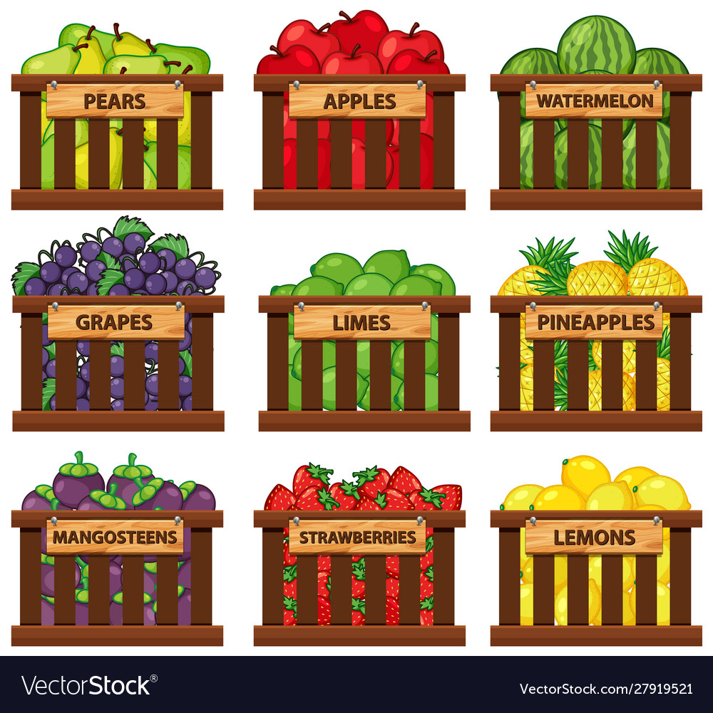 Nine types fruits in wooden baskets Royalty Free Vector