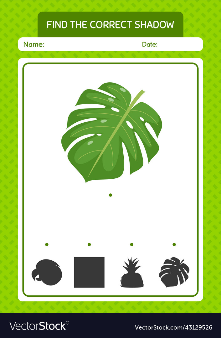 Find the correct shadows game with monstera leaf vector image Find the correct shadows game with monstera leaf