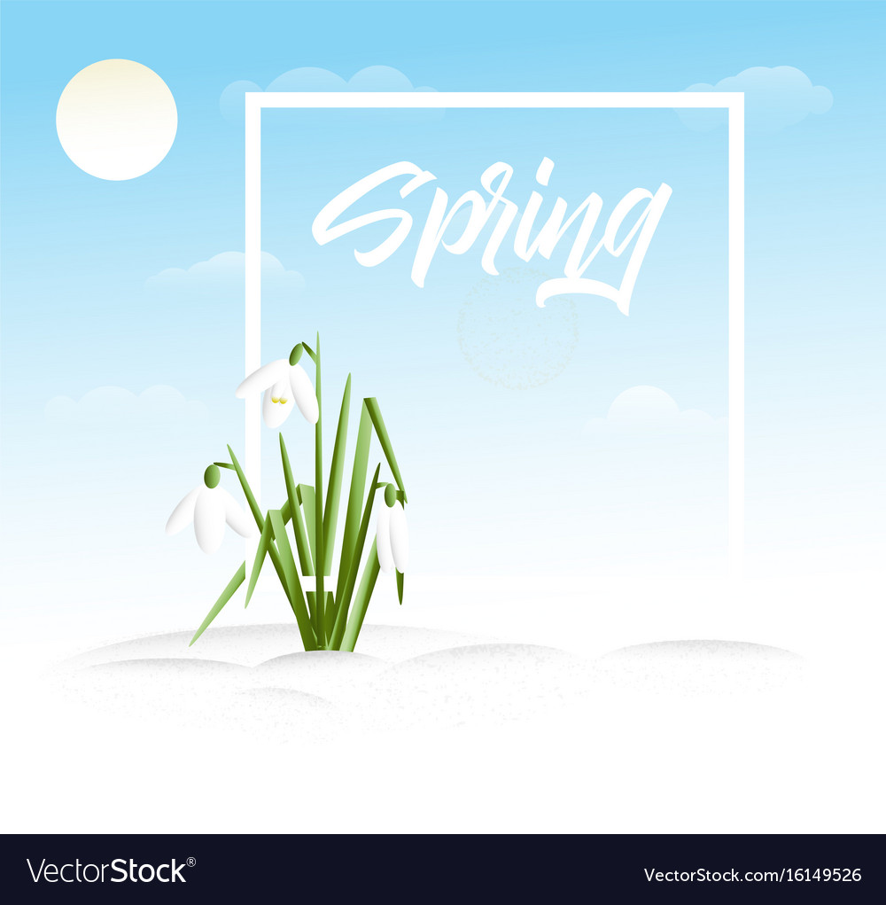 Spring Grass Landscape