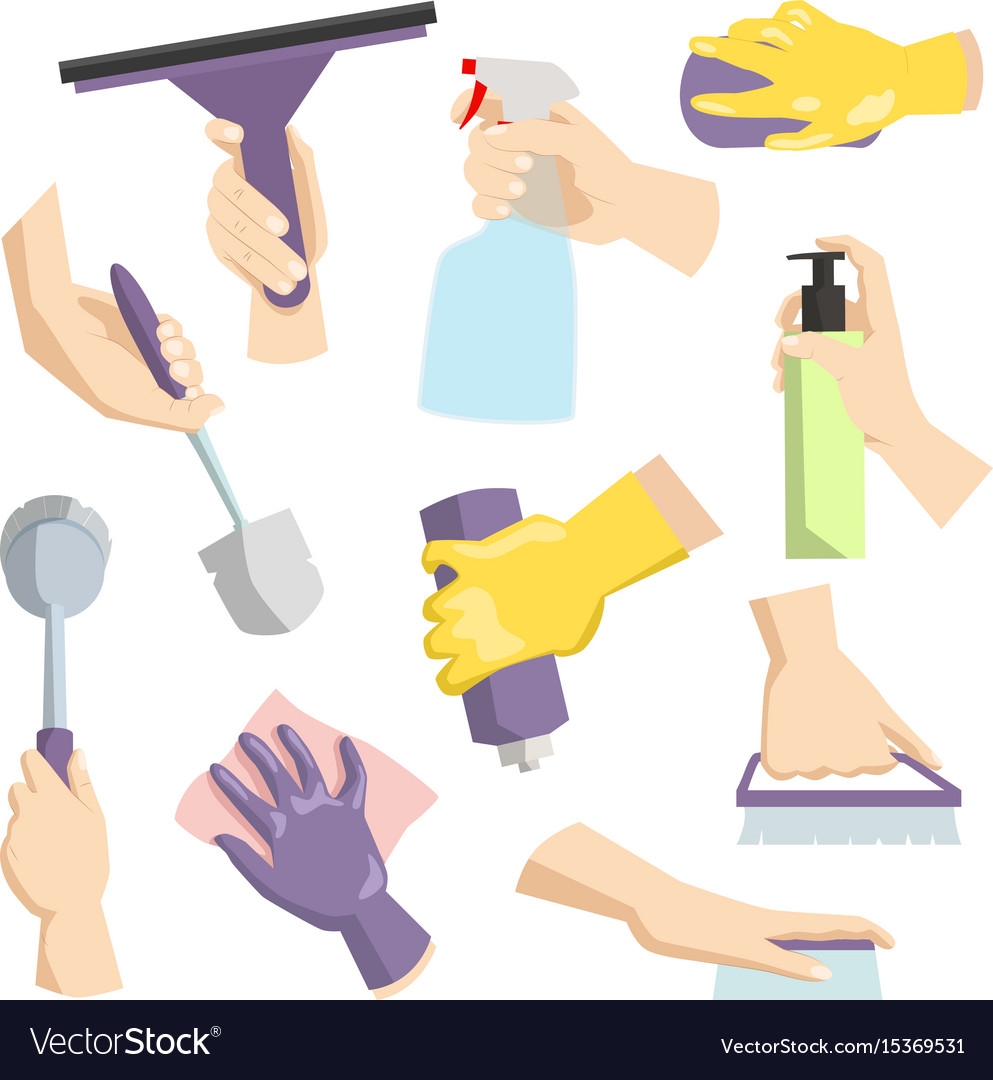 Cleaning tools in housewife hand perfect Vector Image