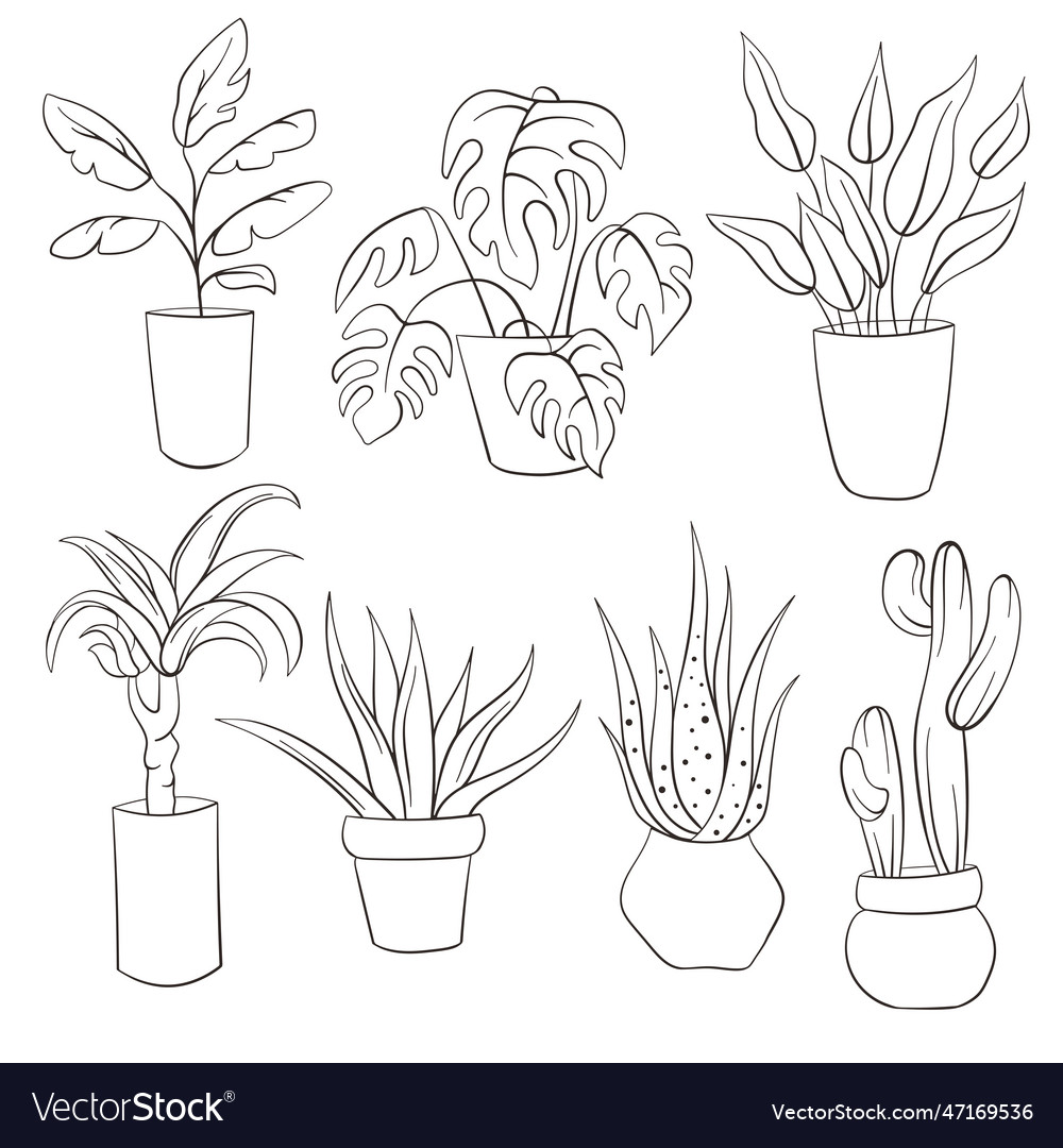 House plants line art style in pots office