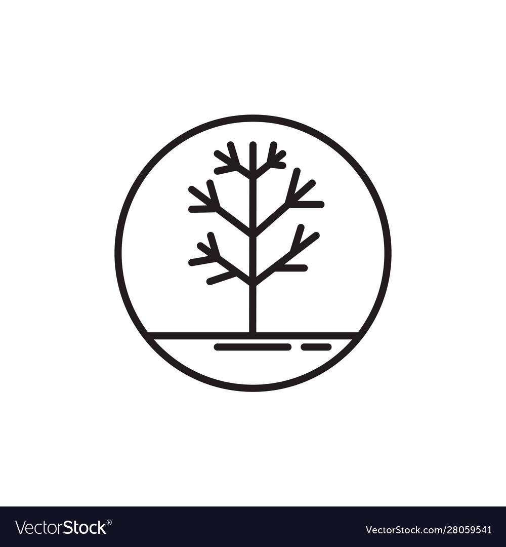 Tree dry line style icon