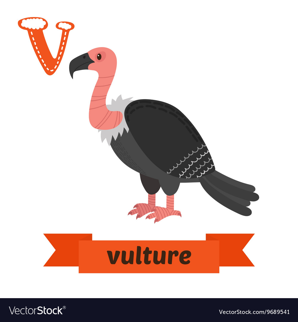 Vulture V Letter Cute Children Animal Alphabet Vector Image