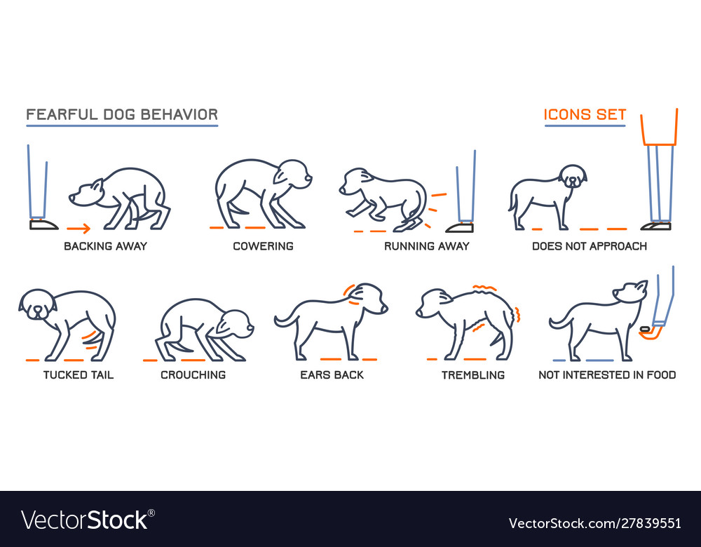 Dog behavior icons set