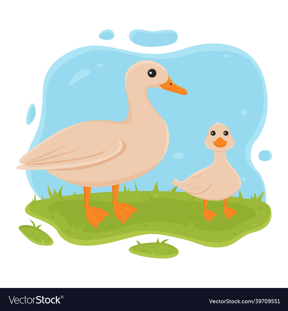 Duck and duckling stand on the grass of domestic Vector Image