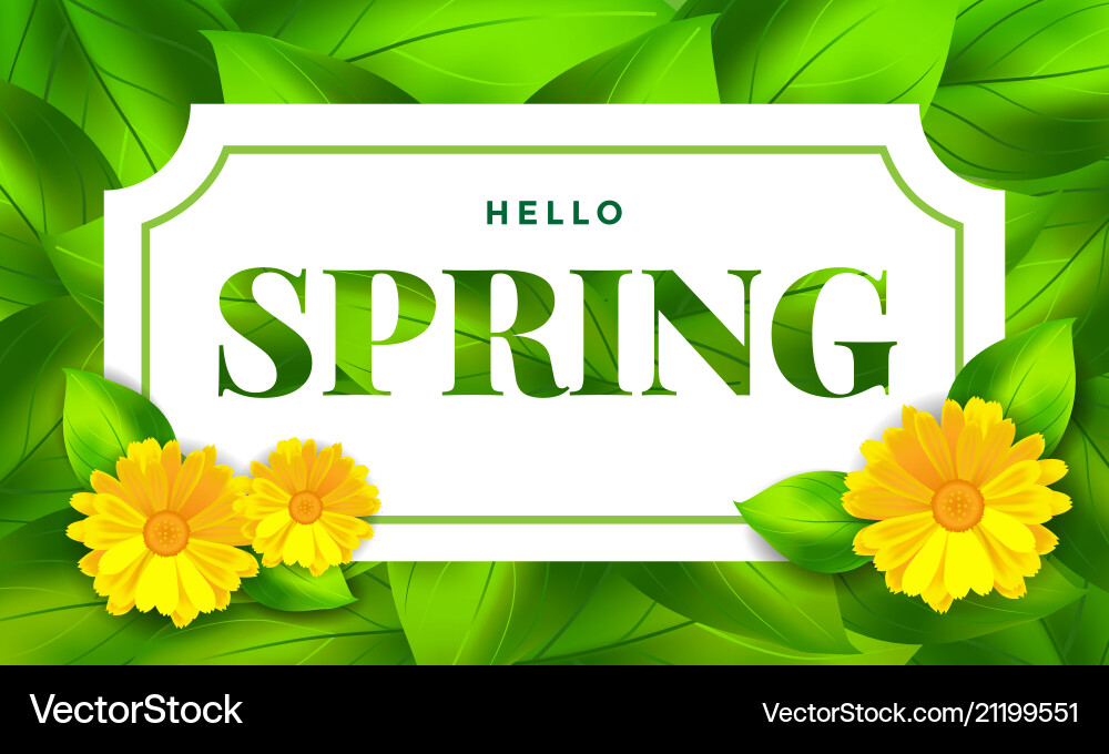 Hello spring background with flower Royalty Free Vector