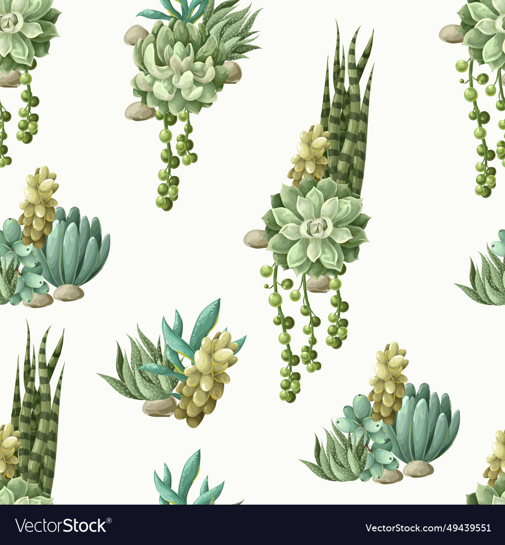 Seamless pattern with succulents and cactus vector image Seamless pattern with succulents and cactus