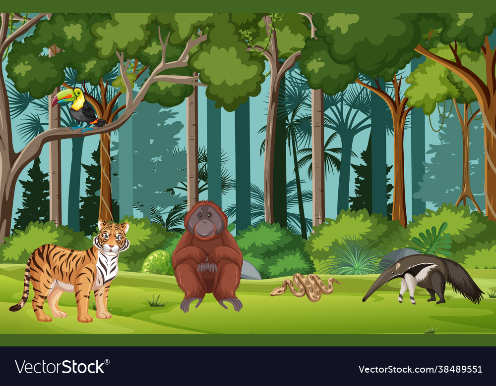 Tropical rainforest scene with various wild