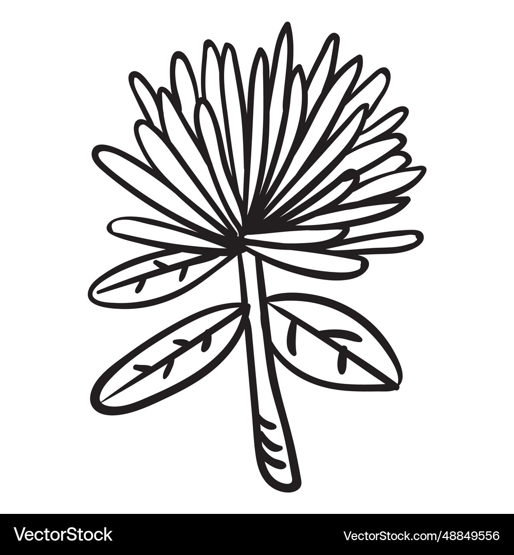 Flower stroke Royalty Free Vector Image - VectorStock