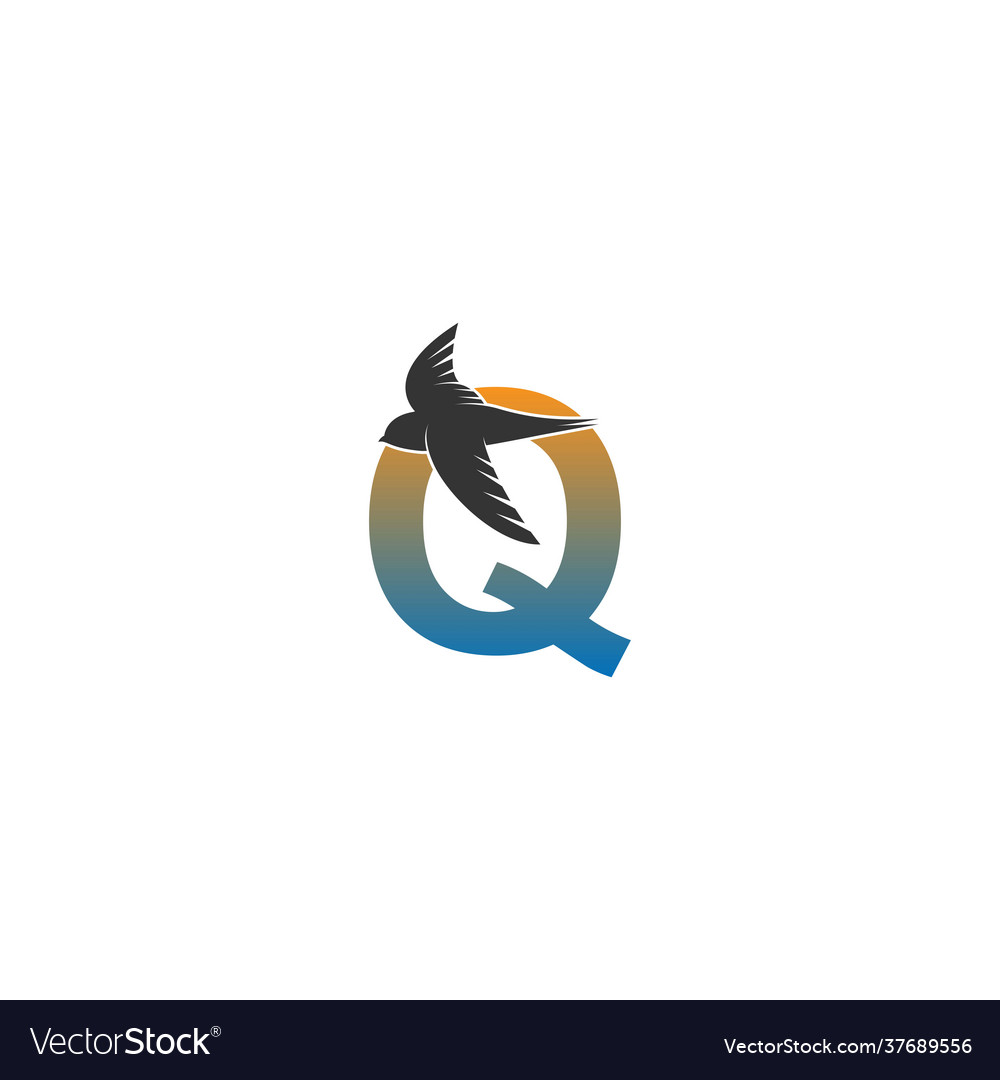 Buchstaben q Logo mit schnellen Vogel-Ikonen-Design vector image Buchstaben q Logo mit schnellen Vogel-Ikonen-Design