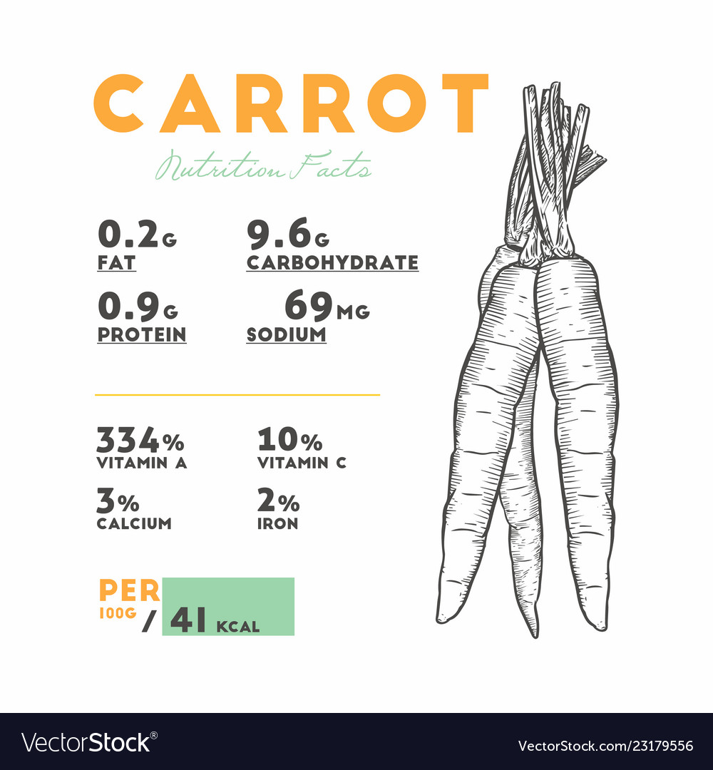 nutrition-facts-raw-carrot-royalty-free-vector-image