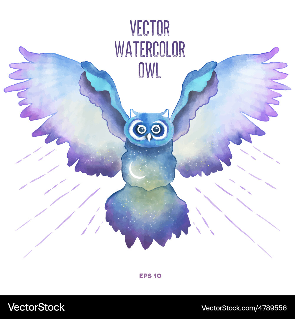 Owl Royalty Free Vector Image - VectorStock