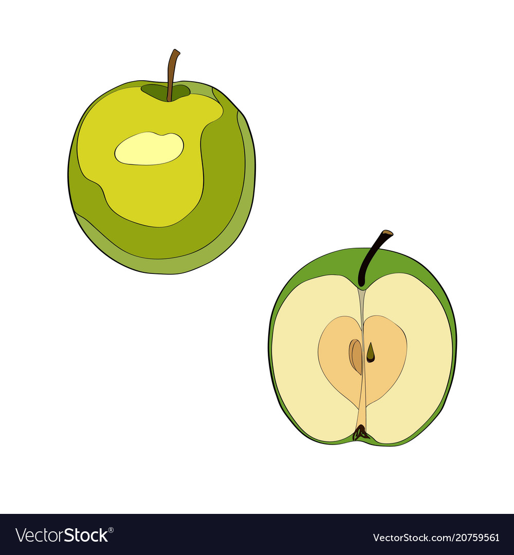 Apple sliced half