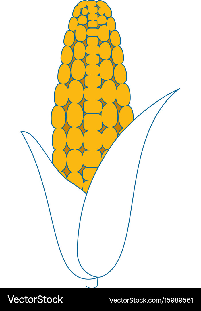 Corn vegetable icon Royalty Free Vector Image - VectorStock