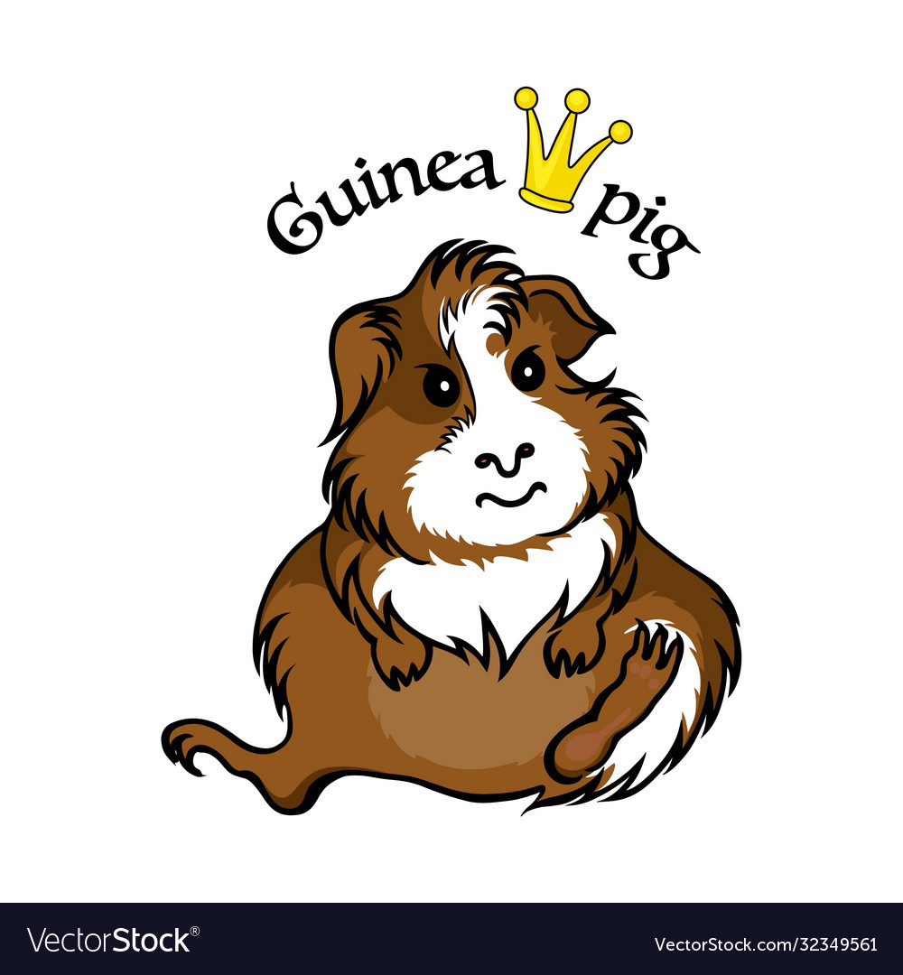 Süße Cartoon Meerschweinchen