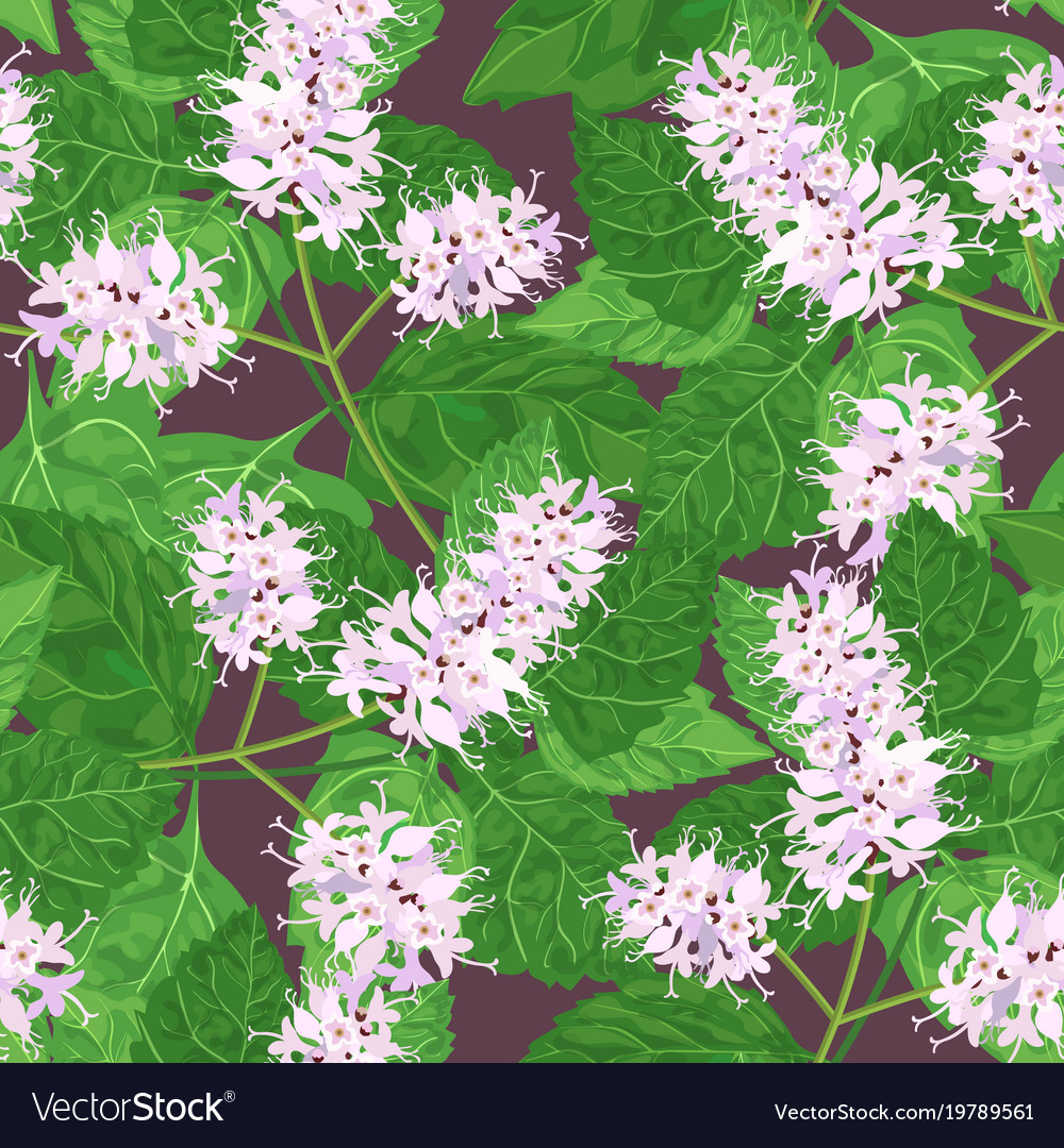 Patchouli seamless pattern