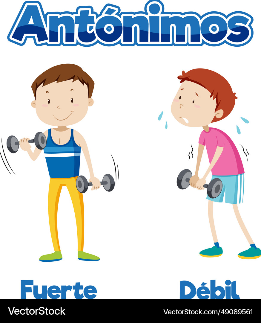Spanish language education fuerte and debil Vector Image