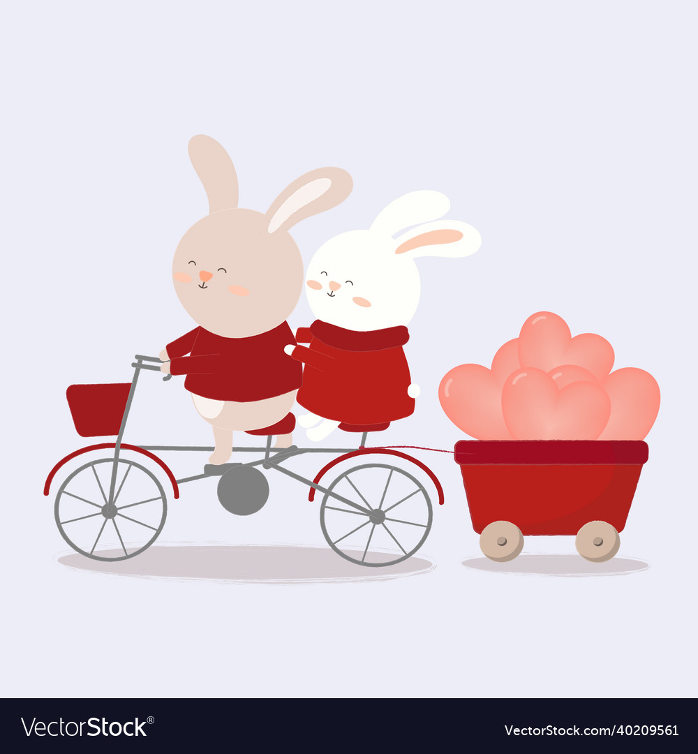 Two rabbit on a bicycle carrying balloon back