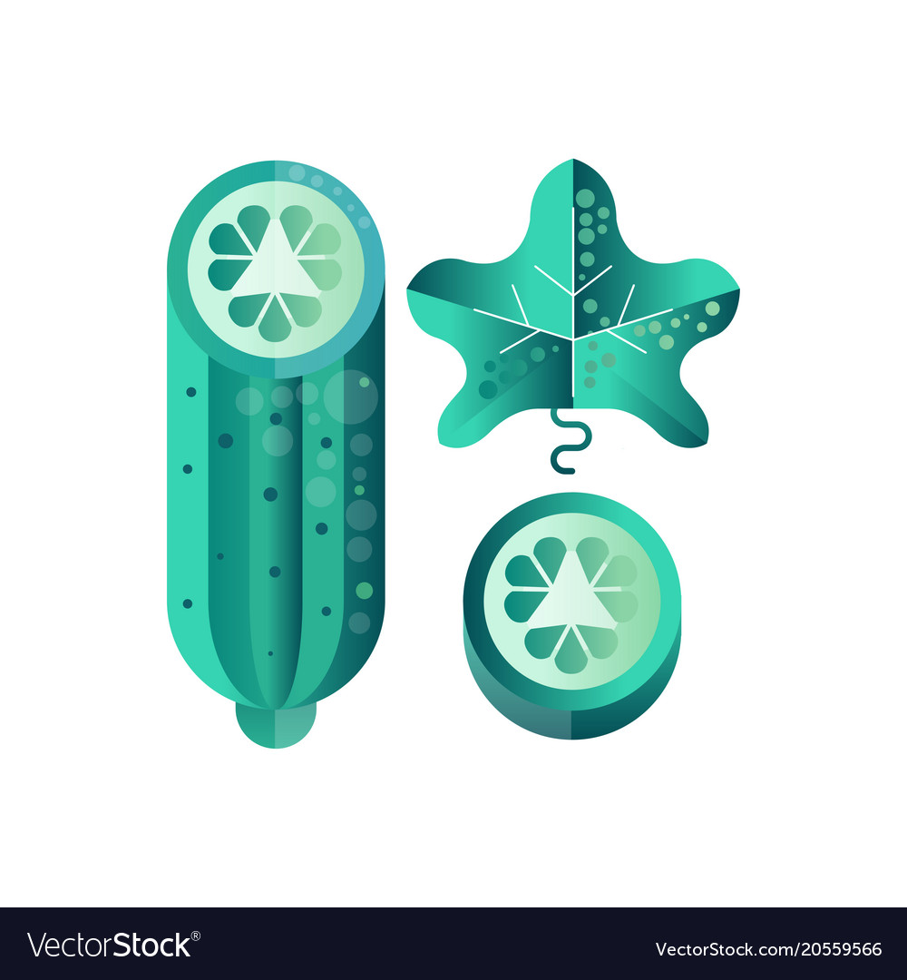 Fresh Cucumber Slice Icon