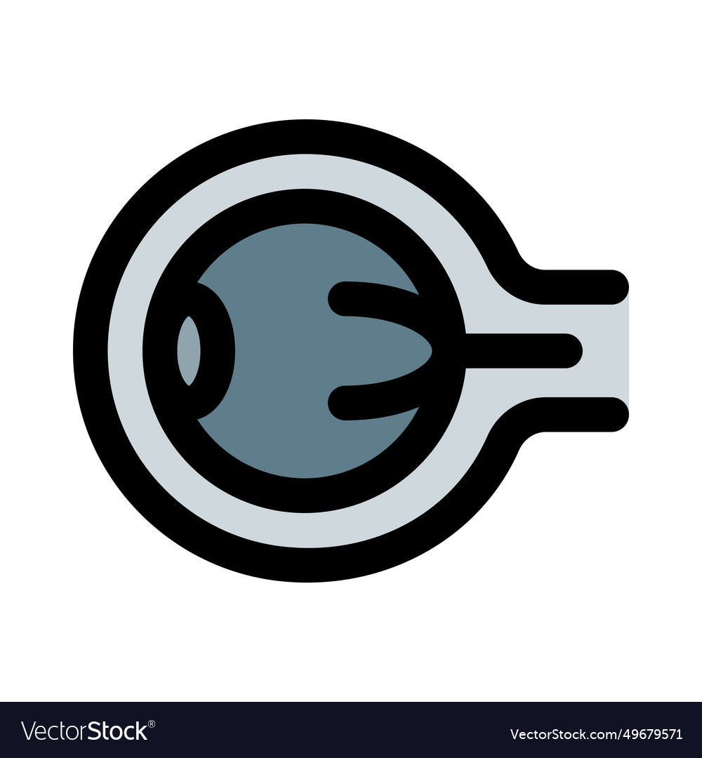 Eye ball has a number of components which include