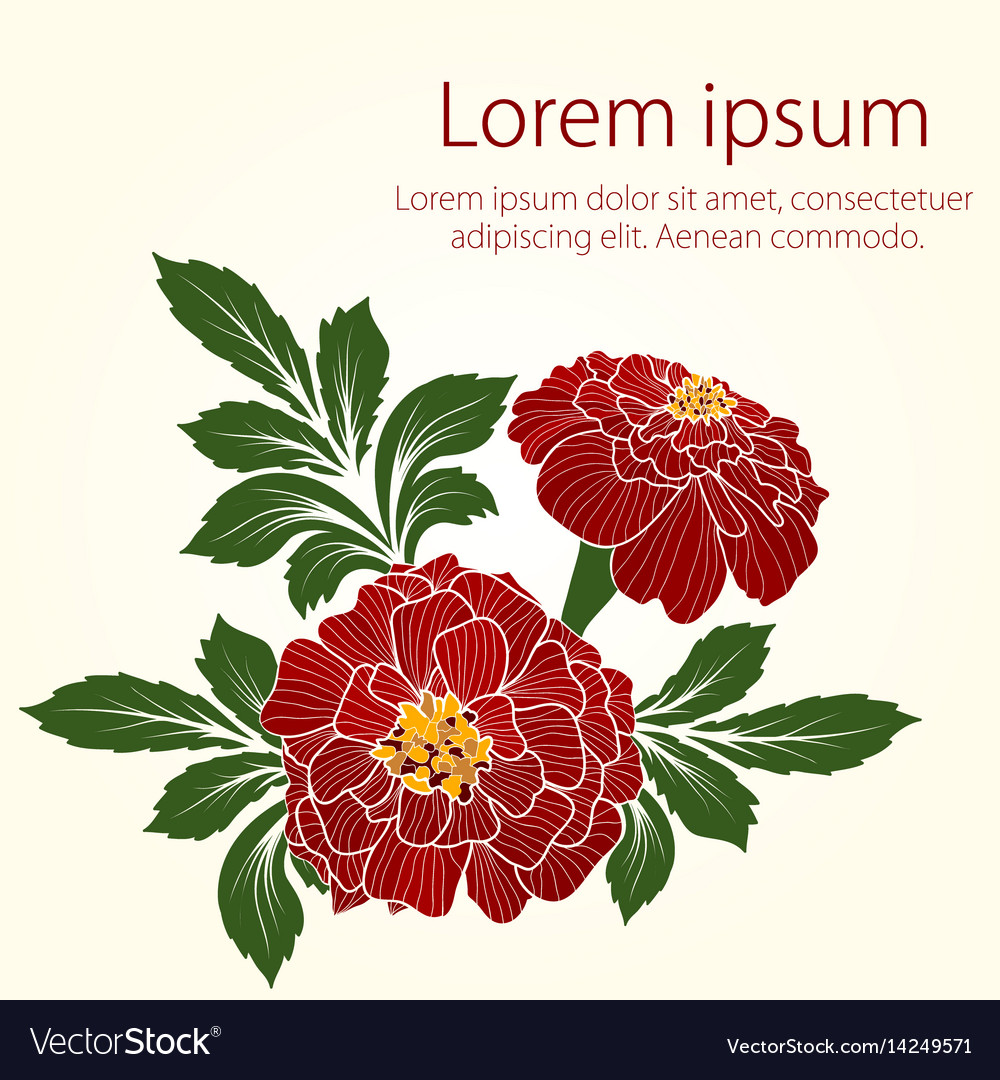 Floral Scroll Pattern