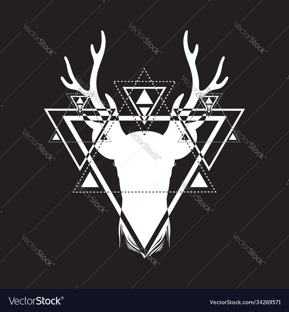 Hand drawn beautiful sketched deer deers Vector Image