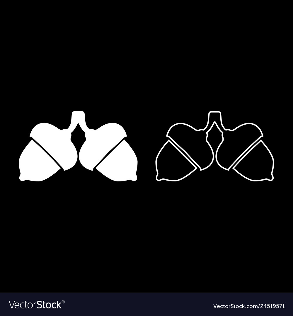 Two acorn icon set white color flat style image vector image Two acorn icon set white color flat style image