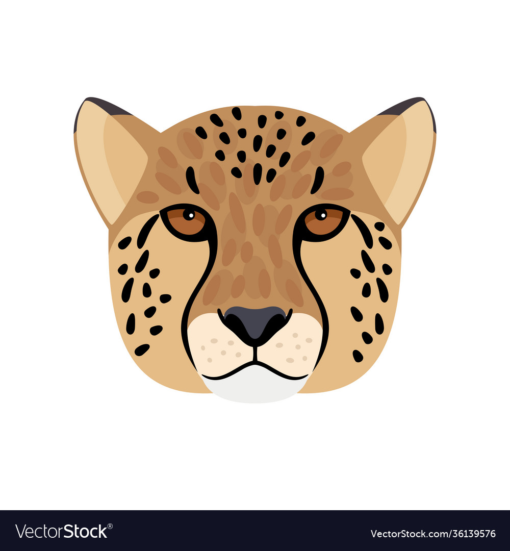 Cheetah head icon Royalty Free Vector Image - VectorStock