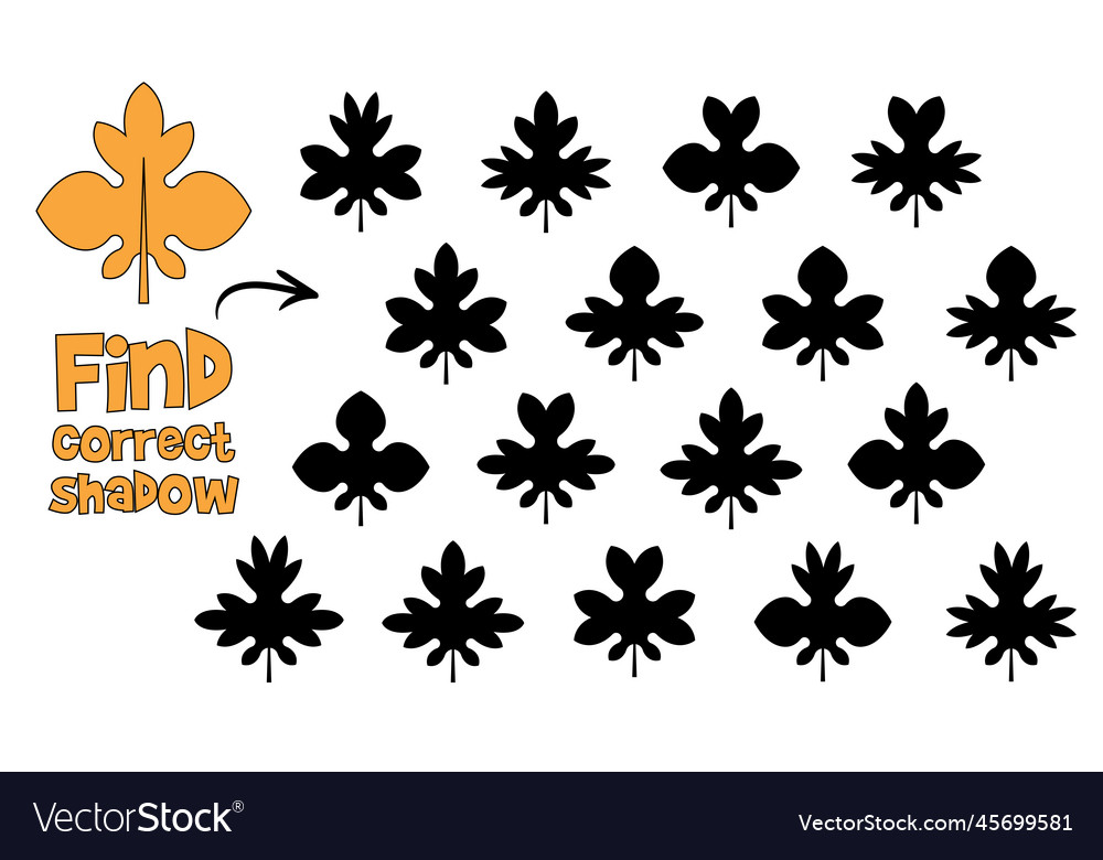 Find the correct shadow 2 same objects vector image Find the correct shadow 2 same objects