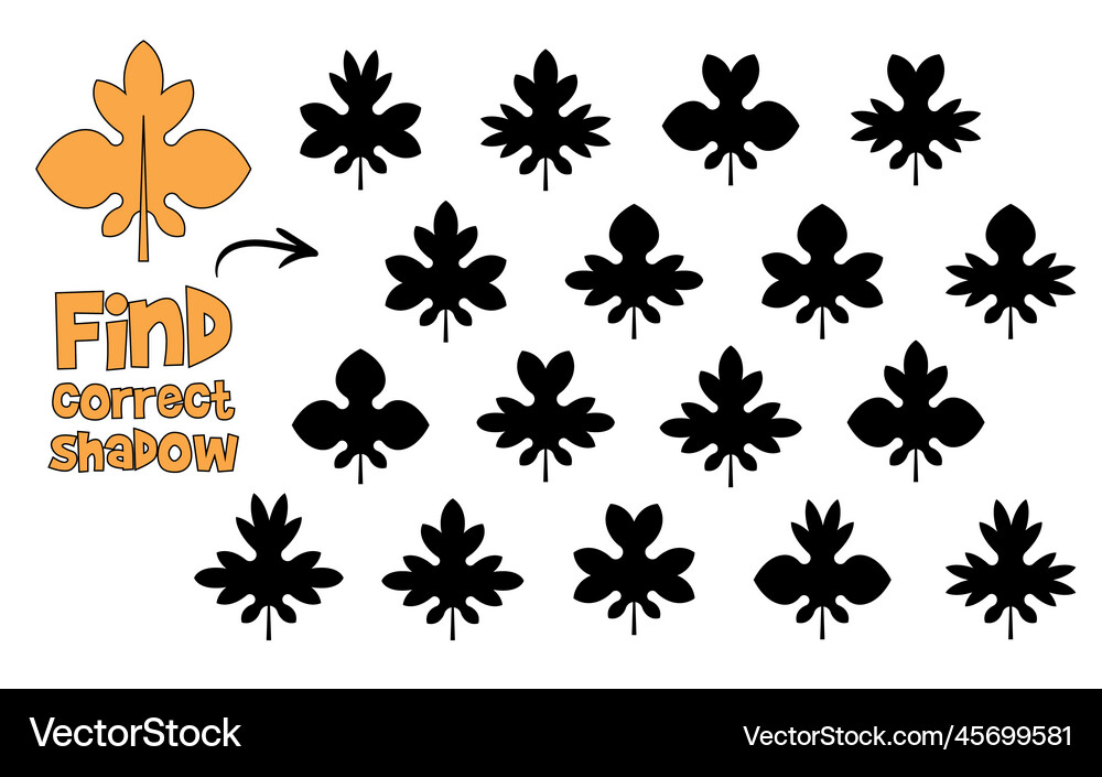 Find the correct shadow find 2 same objects Vector Image