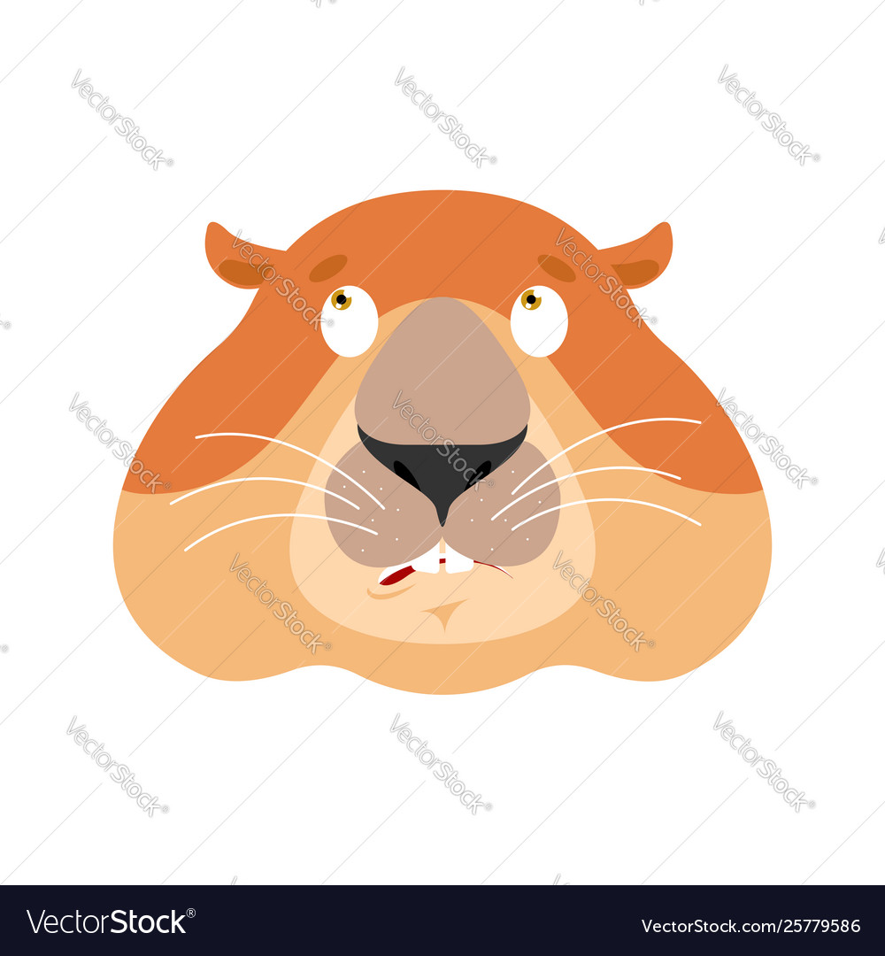 Groundhog confused emoji oops woodchuck perplexed vector image Groundhog confused emoji oops woodchuck perplexed
