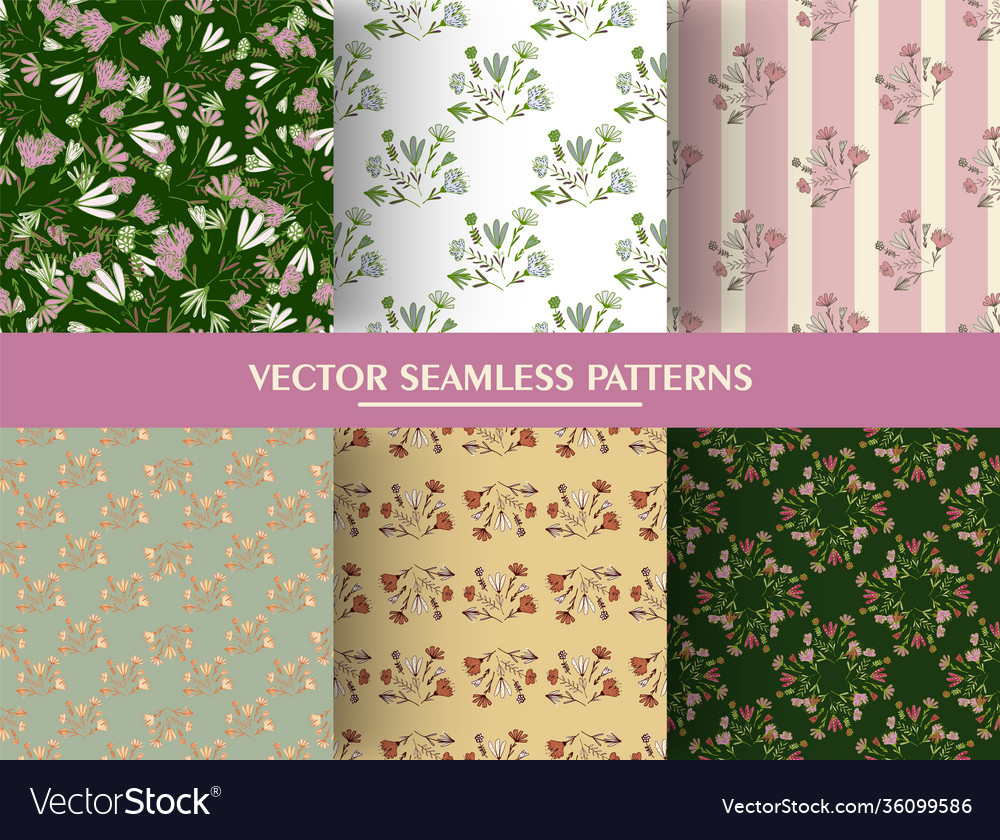 Set seamless pattern with botanical flower vector image Set seamless pattern with botanical flower