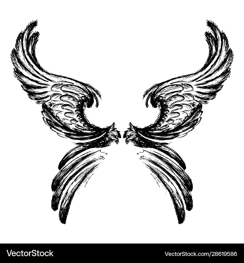 Wings hand drawn Royalty Free Vector Image - VectorStock