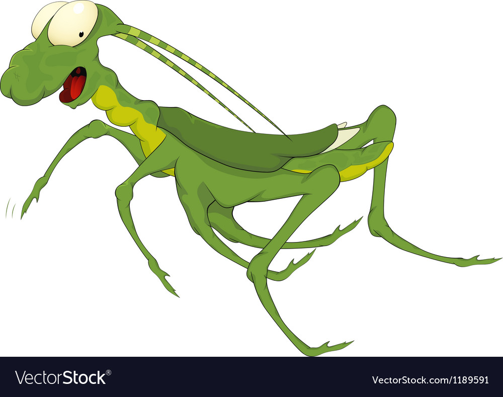 Grasshopper