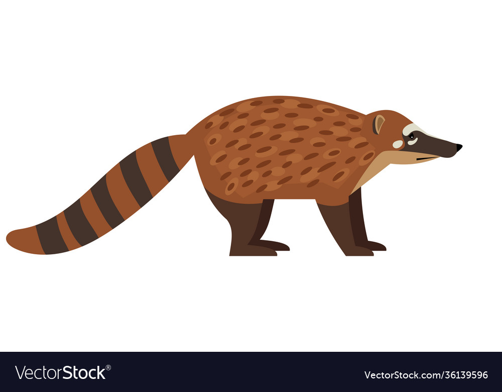 Tailed exotic coati animal Royalty Free Vector Image