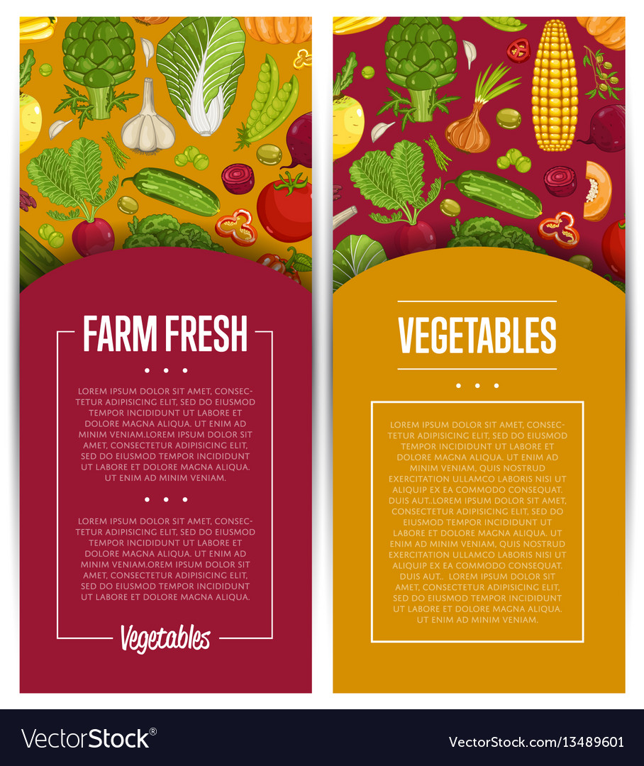 Fresh vegetable farming flyers set Royalty Free Vector Image