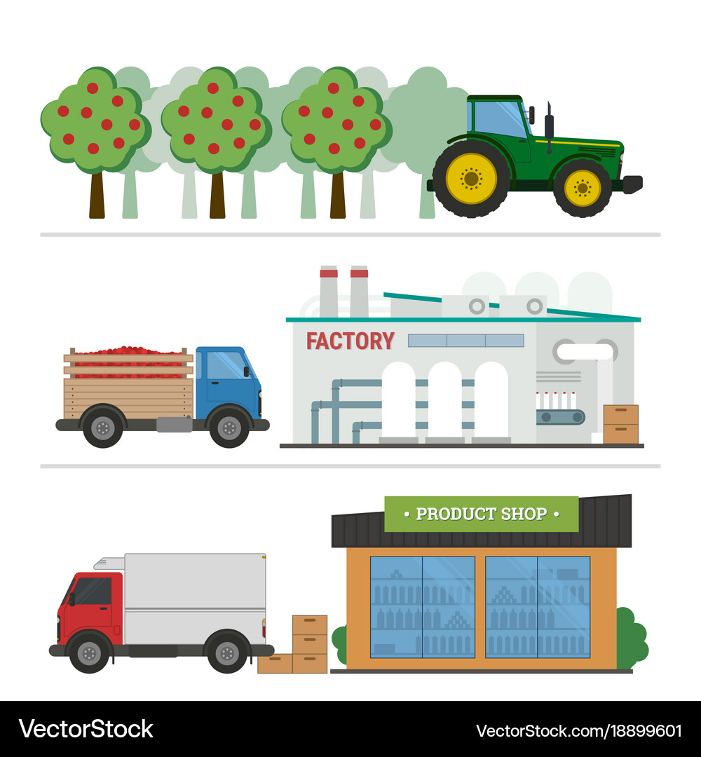 Stages of production and processing juice Vector Image