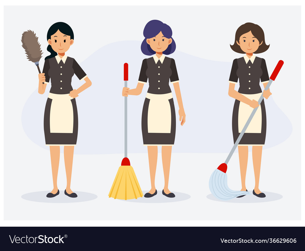 Flat cleaning service concept 3 maid