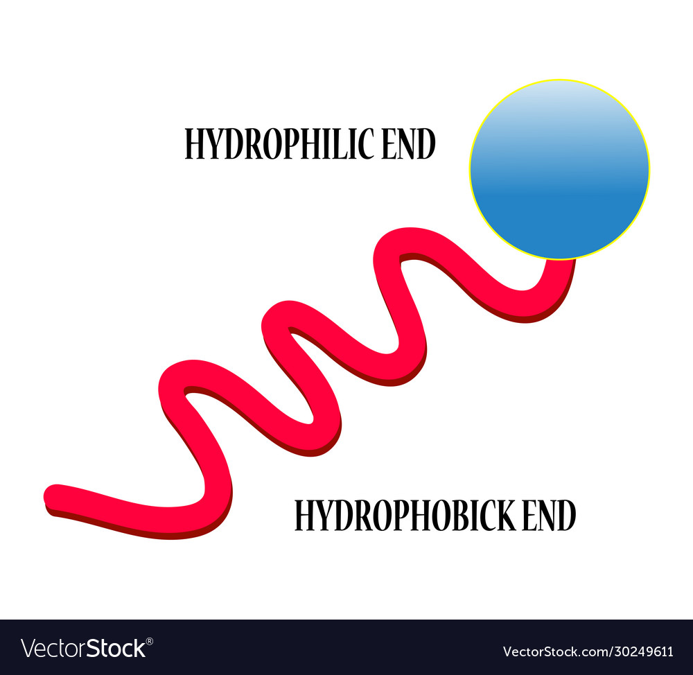 Soap molecule stearic acid molecule Royalty Free Vector