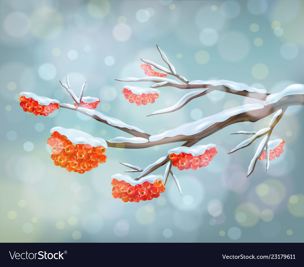 Winter background with snow covered frozen tree br